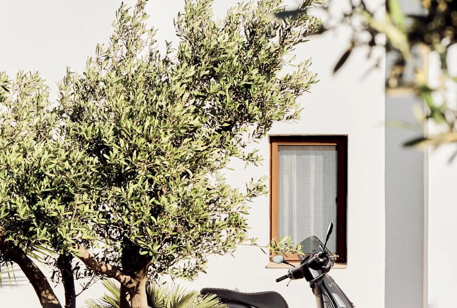 Casa Caria Suites Bodrum 터키